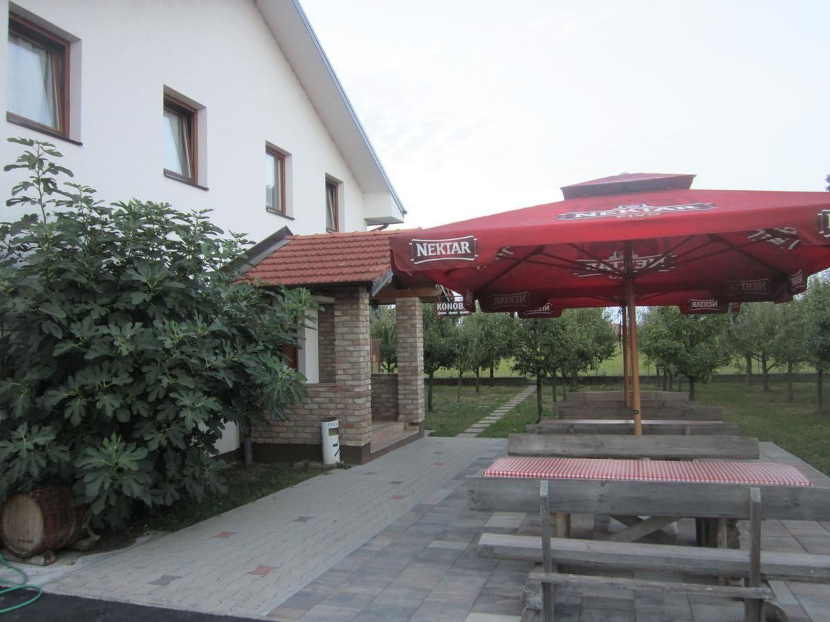 Pansion Laktasi Hostel Kültér fotó